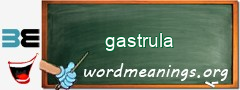 WordMeaning blackboard for gastrula